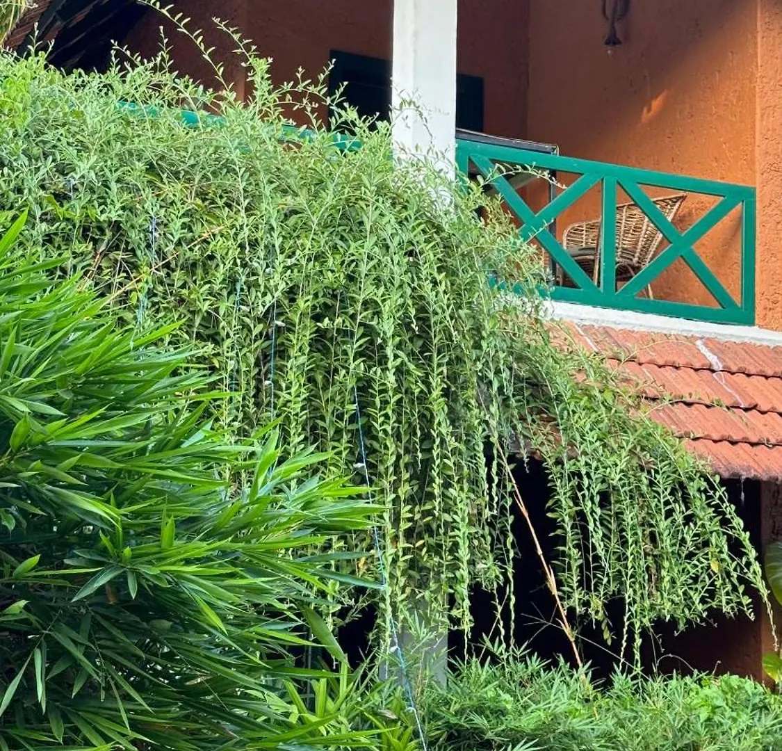Garggi Kumarakom Village Homestay